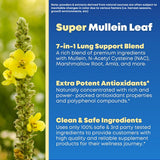 SOLNUVI Mullein & NAC Lung Health Support Supplement bottle side view