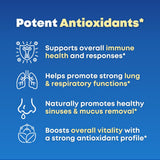 SOLNUVI Mullein & NAC Lung Health Support Supplement ingredients list