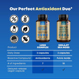 SOLNUVI Mullein & NAC Lung Health Support Supplement with measuring spoon