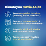 SOLNUVI Shilajit Complex Capsules back view with ingredient list