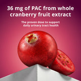 Solv Wellness Cranberry Supplement bottle with capsules in hand