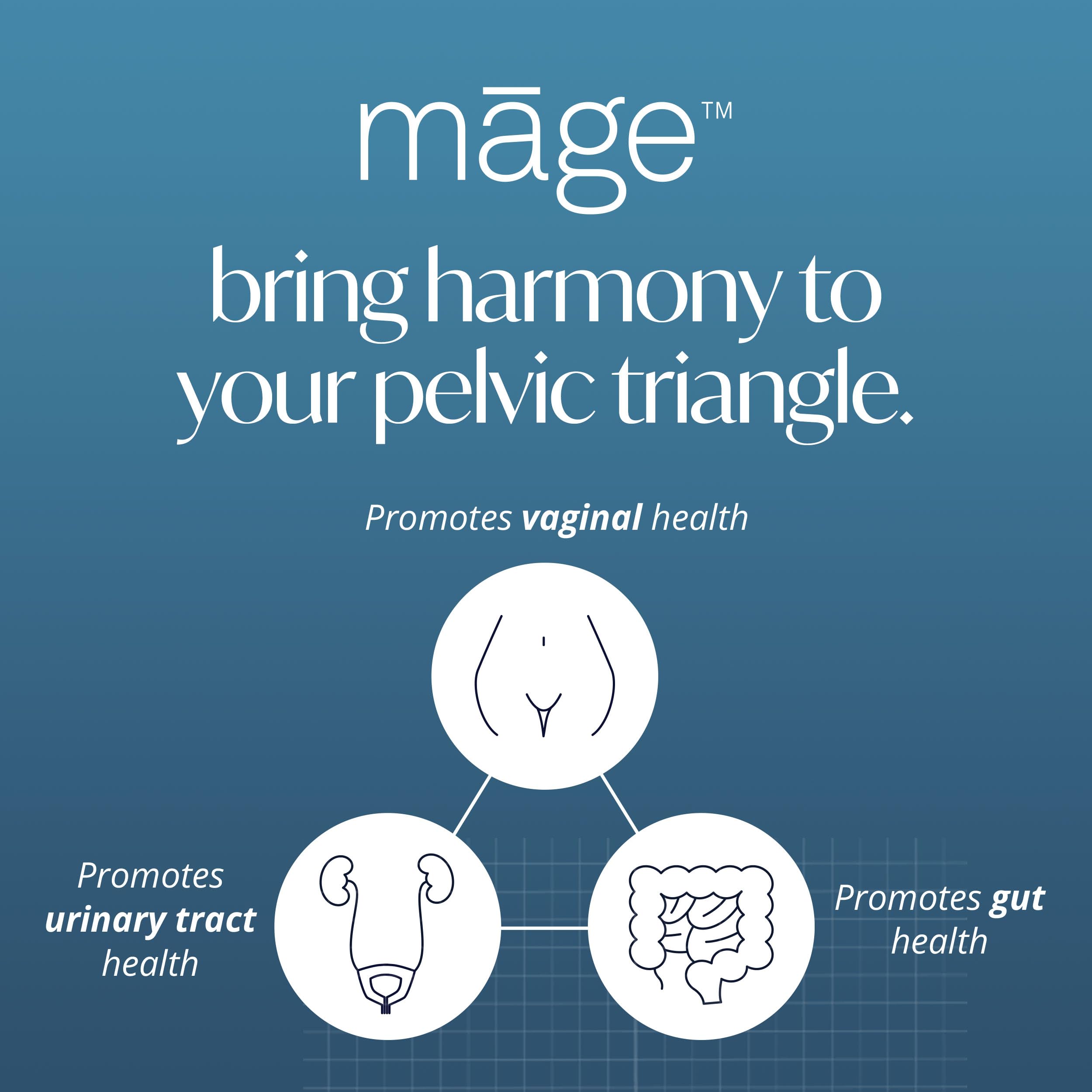 Solv Wellness Mage Probiotic Capsules side view