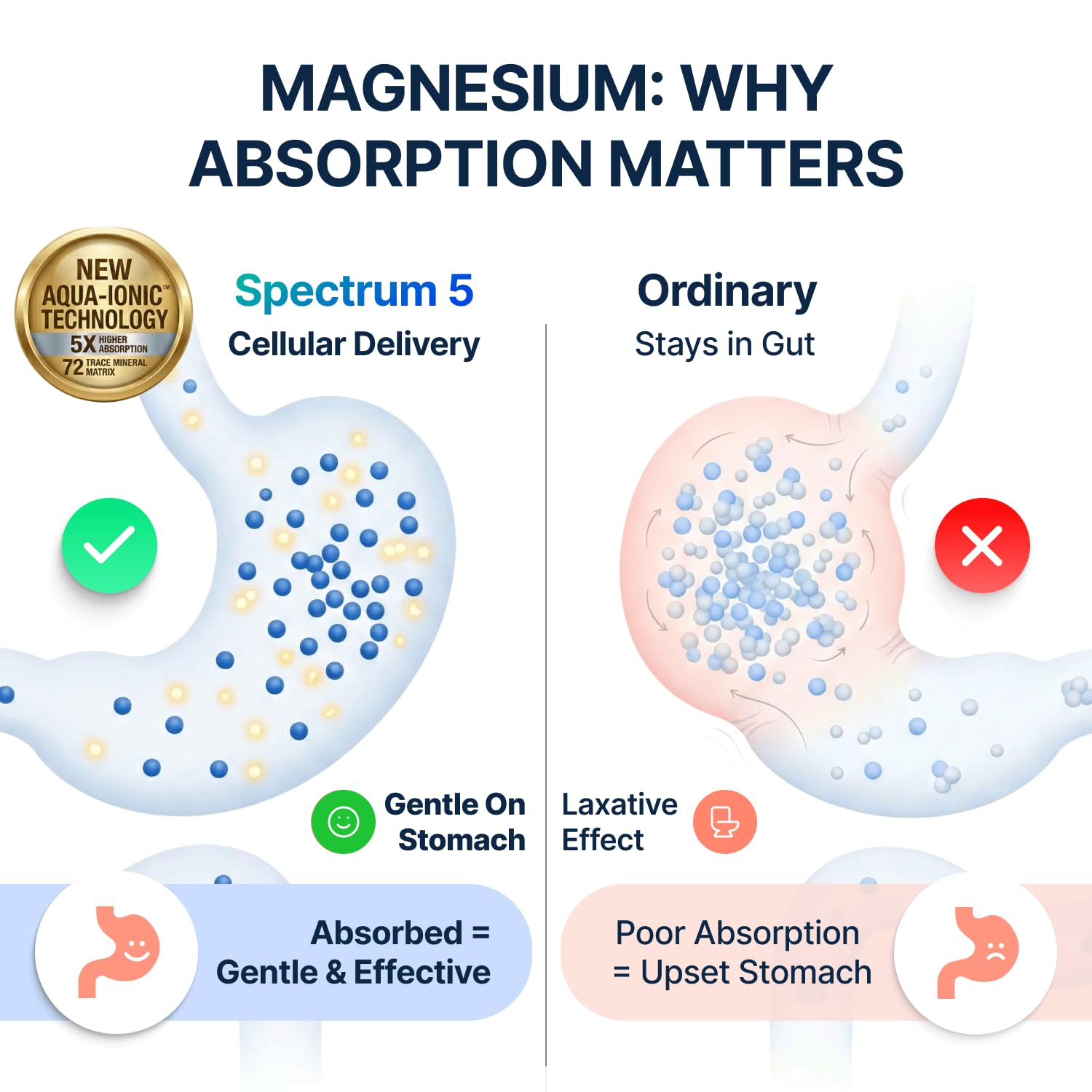 SonoHealth Magnesium Supplement in a lifestyle setting