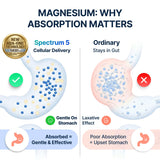 SonoHealth Magnesium Supplement in a lifestyle setting