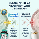 SonoHealth Magnesium Supplement ingredients list