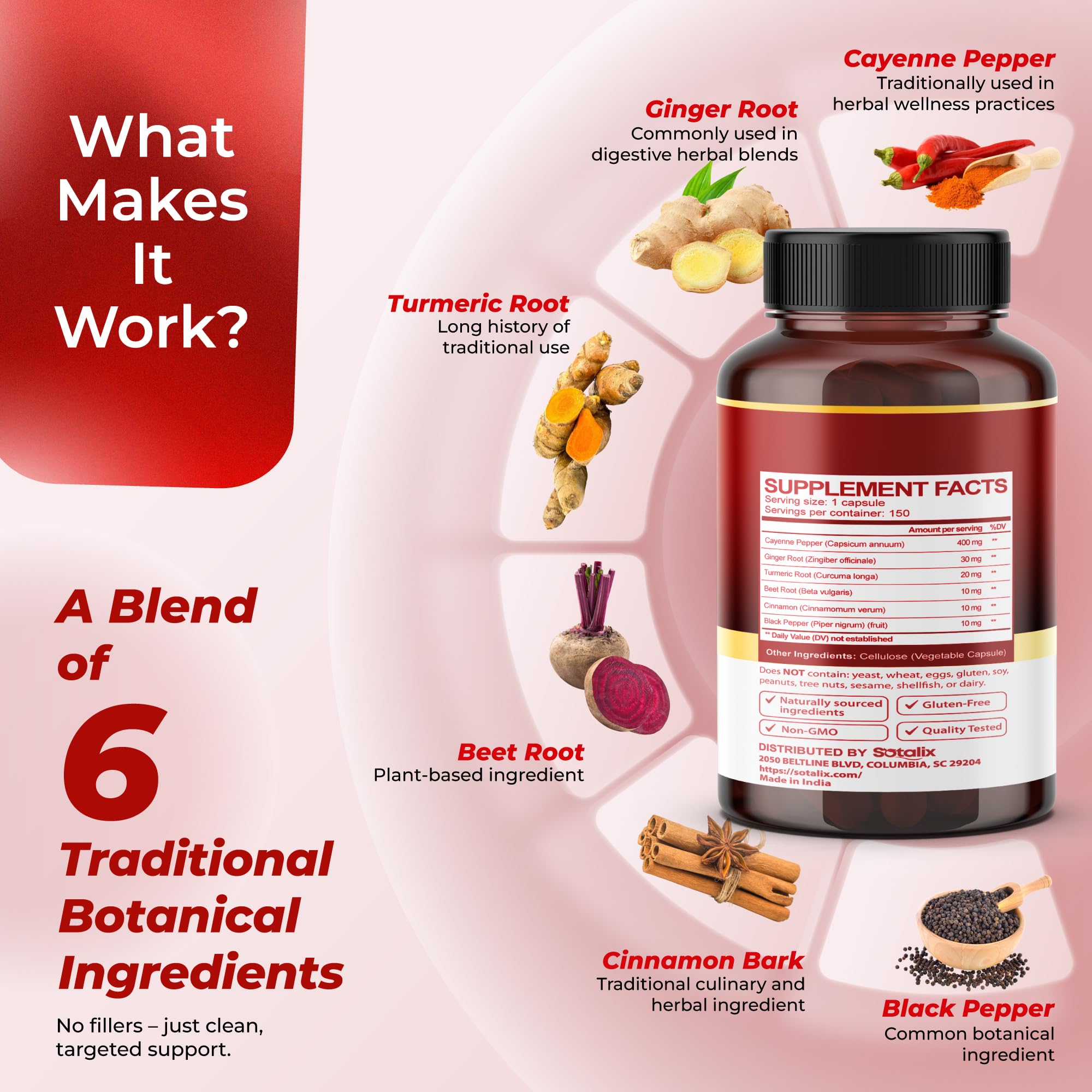 SOTALIX SUPPLEMENT Turmeric Herbal Capsules ingredients list