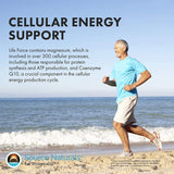Source Naturals Life Force Multiple 120 Capsules on a wooden table