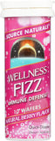 Source Naturals Wellness Fizz 59g back view of packaging