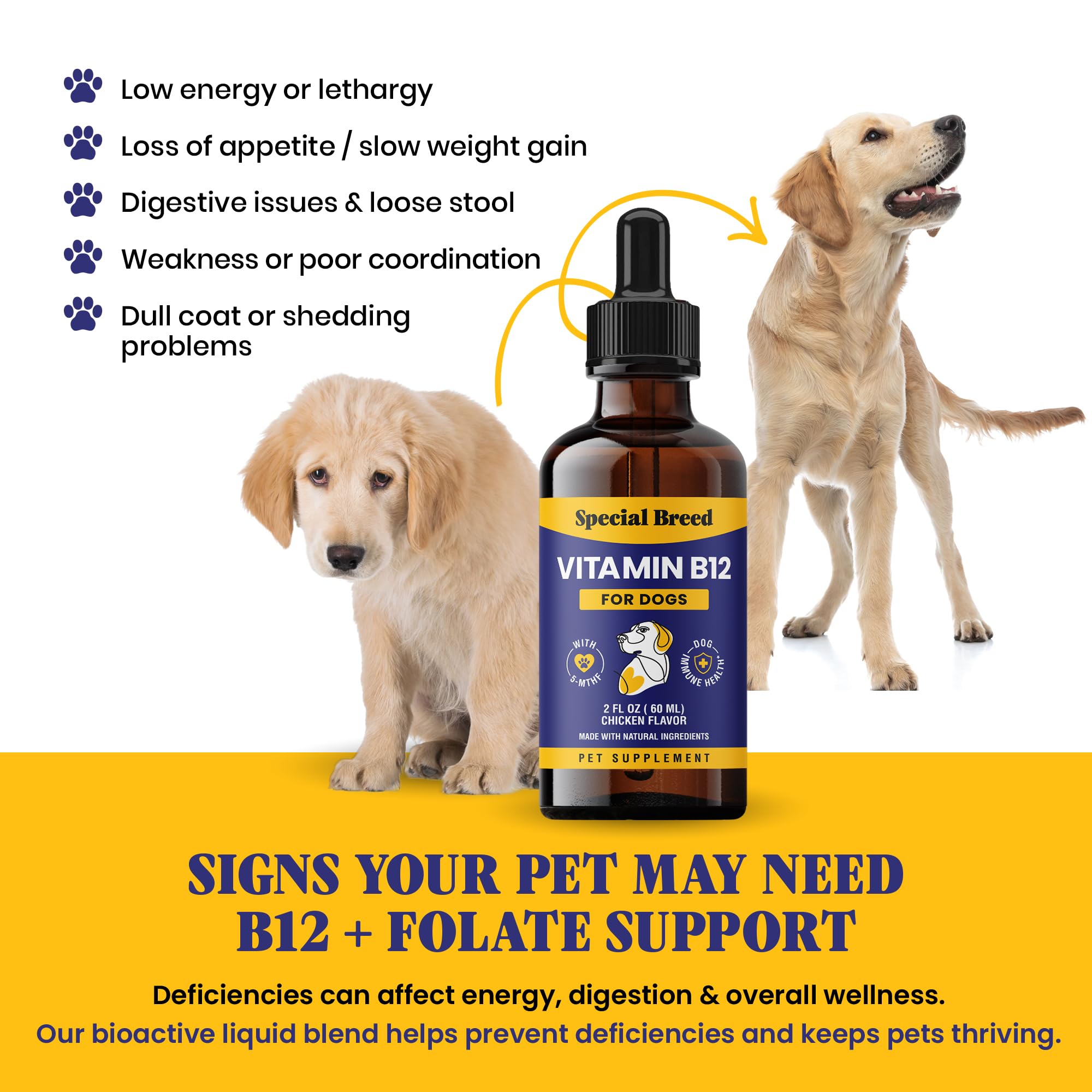 Special Breed B12 Liquid Supplement chicken flavour bottle