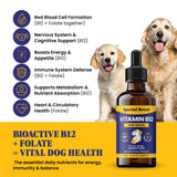 Special Breed B12 Liquid Supplement packaging side view