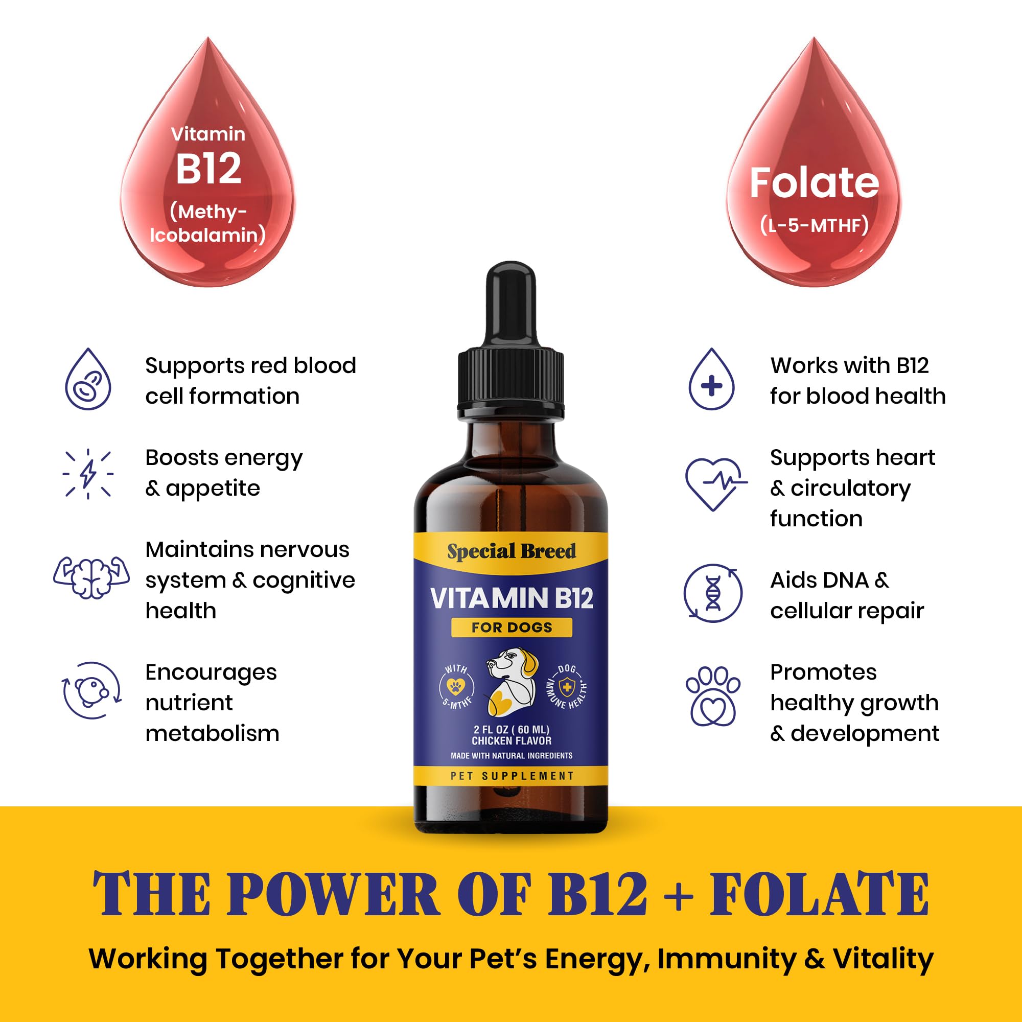 Special Breed B12 Liquid Supplement with food