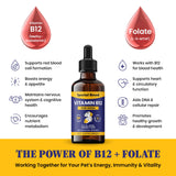 Special Breed B12 Liquid Supplement with food