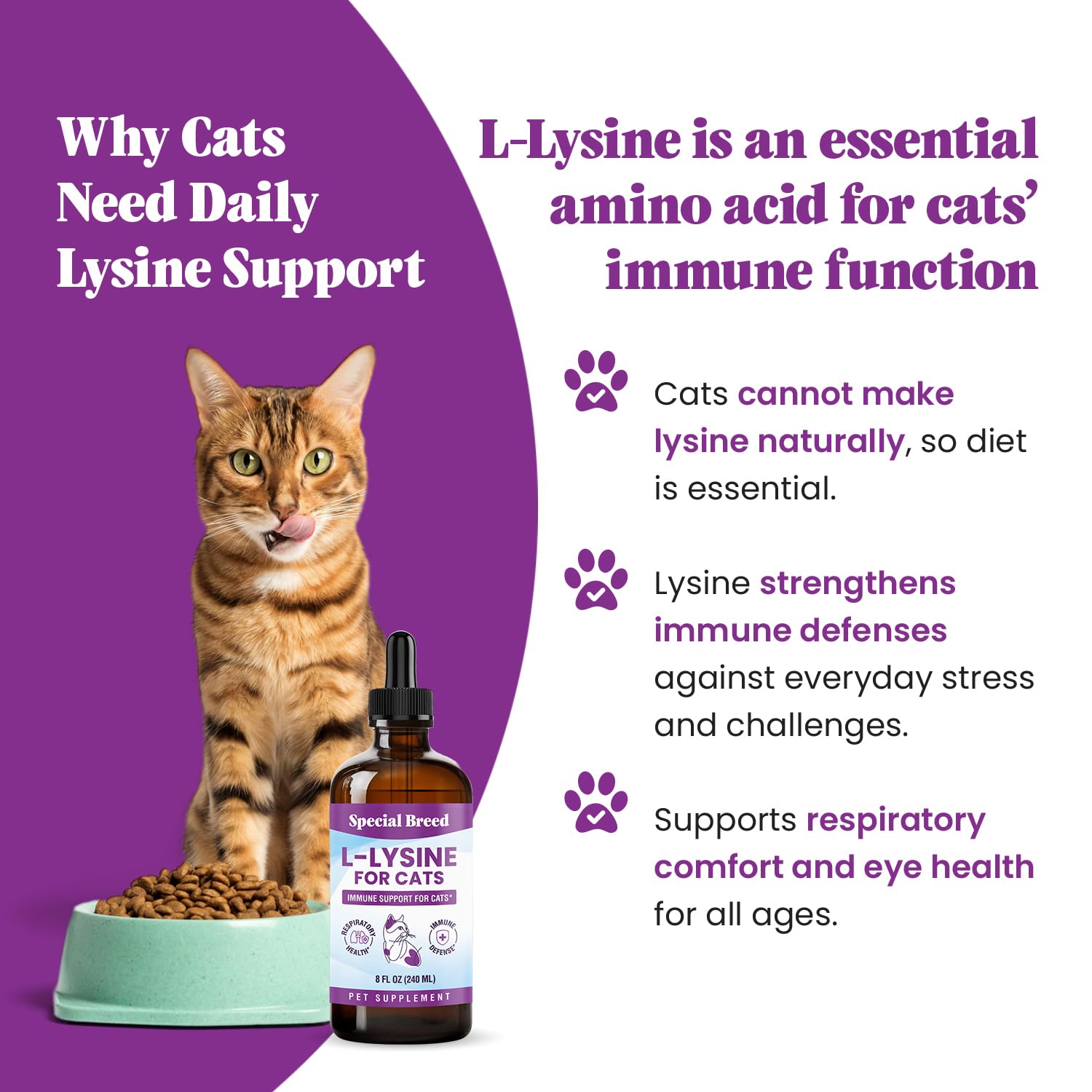 Special Breed L-Lysine bottle with dropper