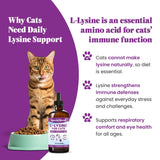 Special Breed L-Lysine bottle with dropper