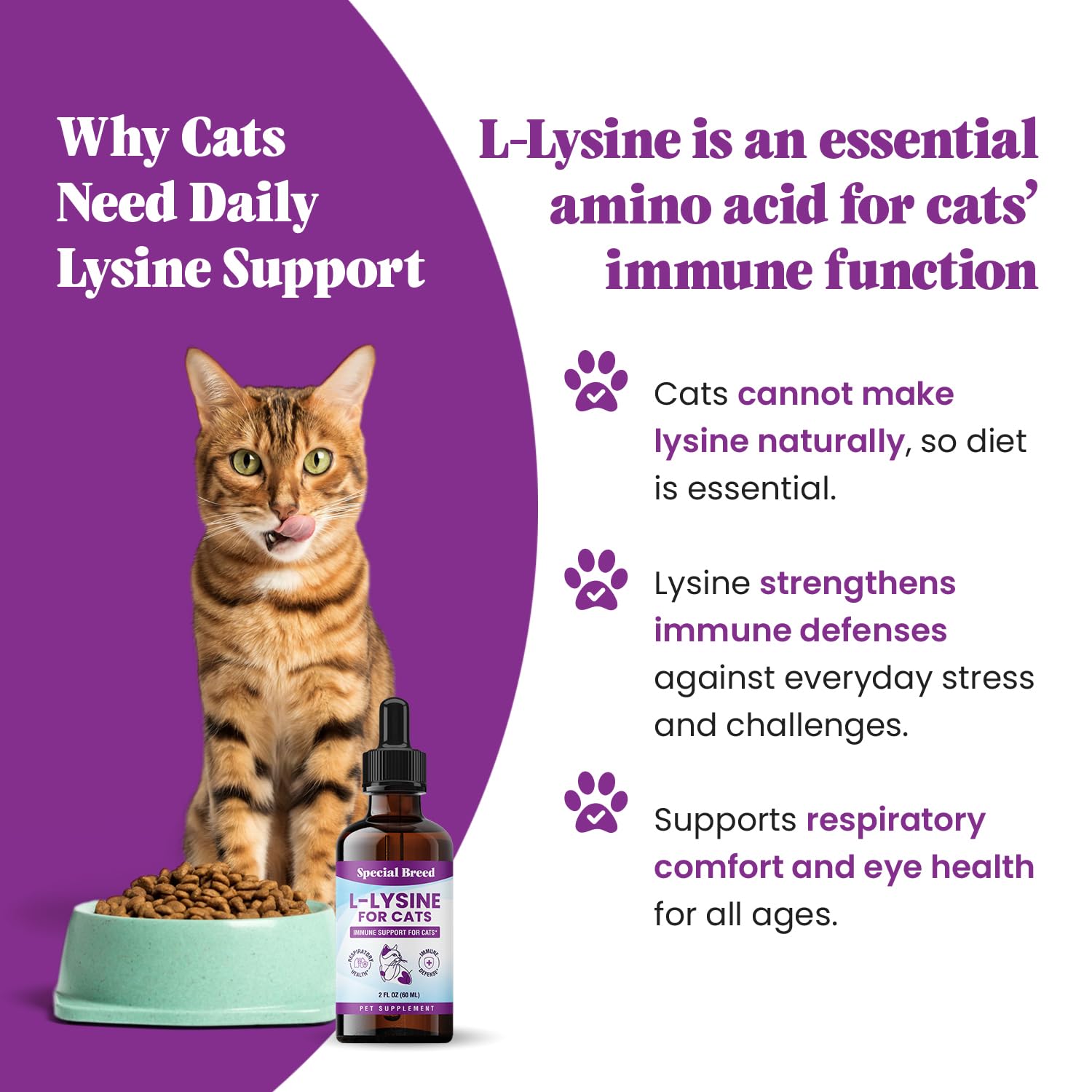 Special Breed L-Lysine for Cats 250mg liquid drops back view