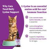 Special Breed L-Lysine for Cats 250mg liquid drops back view