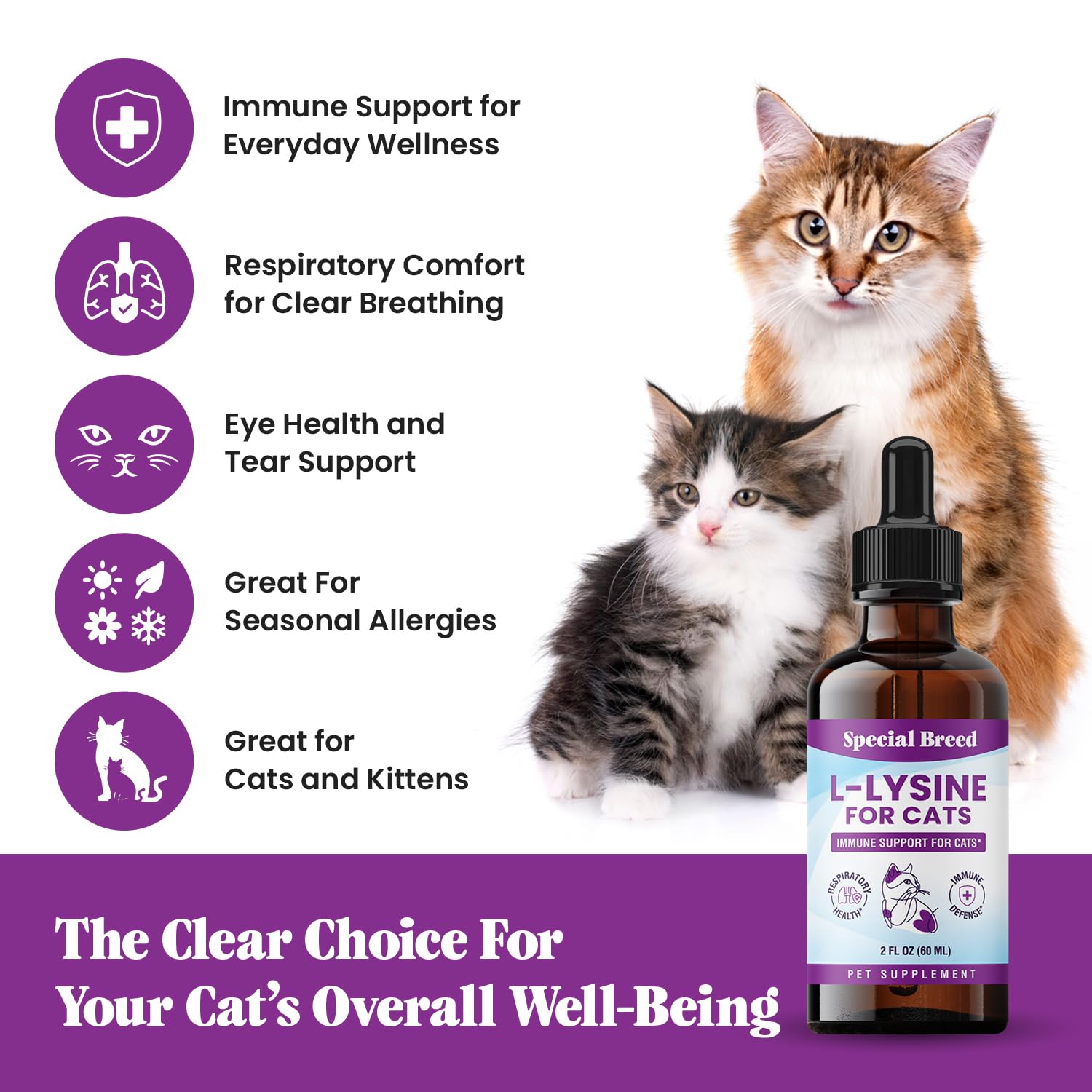Special Breed L-Lysine for Cats 250mg liquid drops packaging