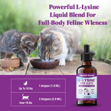 Special Breed L-Lysine for Cats 250mg liquid drops with measuring dropper