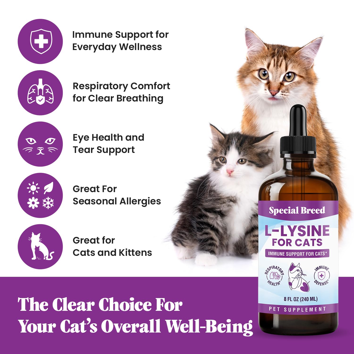 Special Breed L-Lysine for cats with herbal ingredients