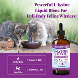 Special Breed L-Lysine liquid drops on a kitchen counter