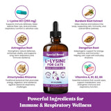 Special Breed L-Lysine liquid drops packaging