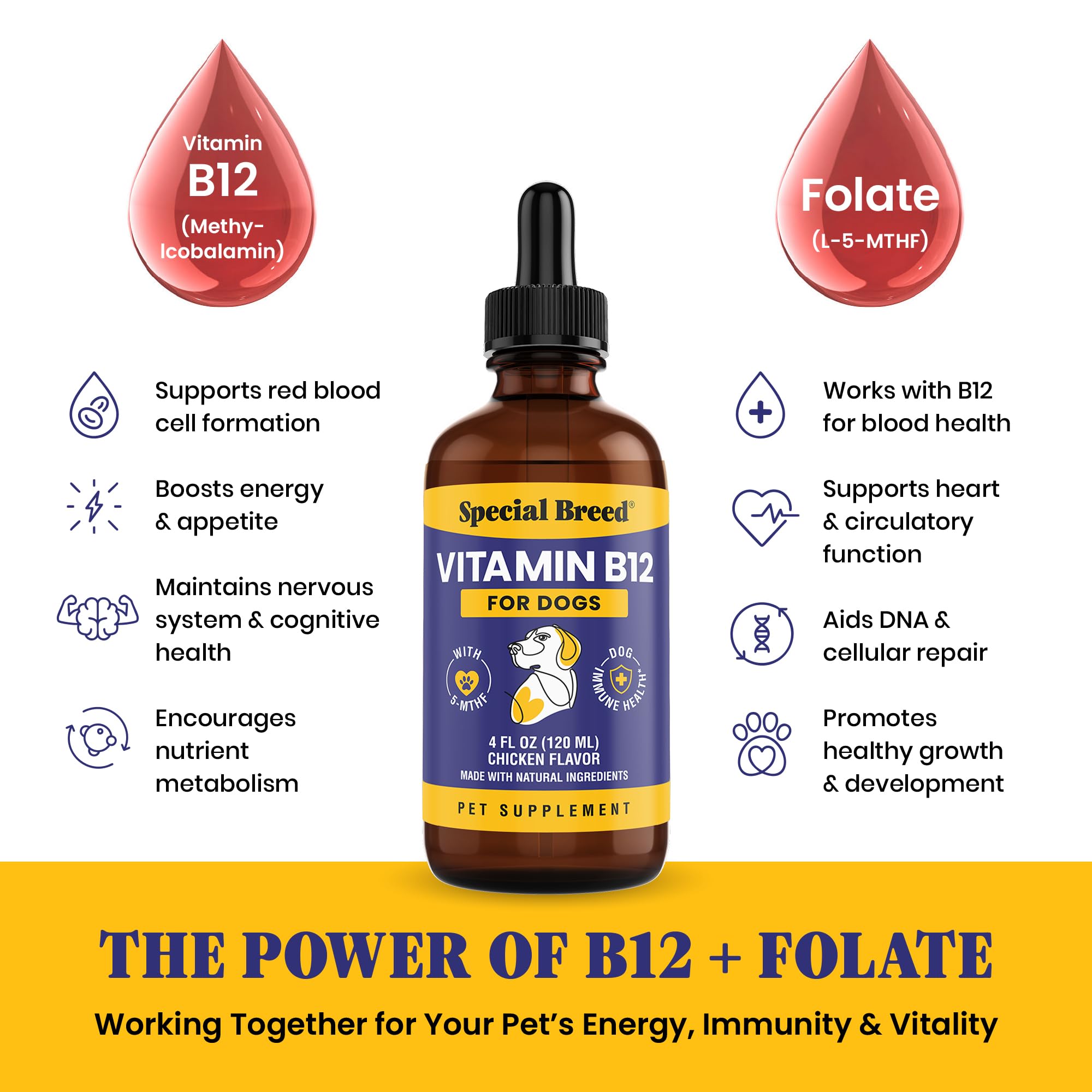 Special Breed Liquid B12 Supplement for Dogs in use with dog food