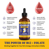 Special Breed Liquid B12 Supplement for Dogs in use with dog food