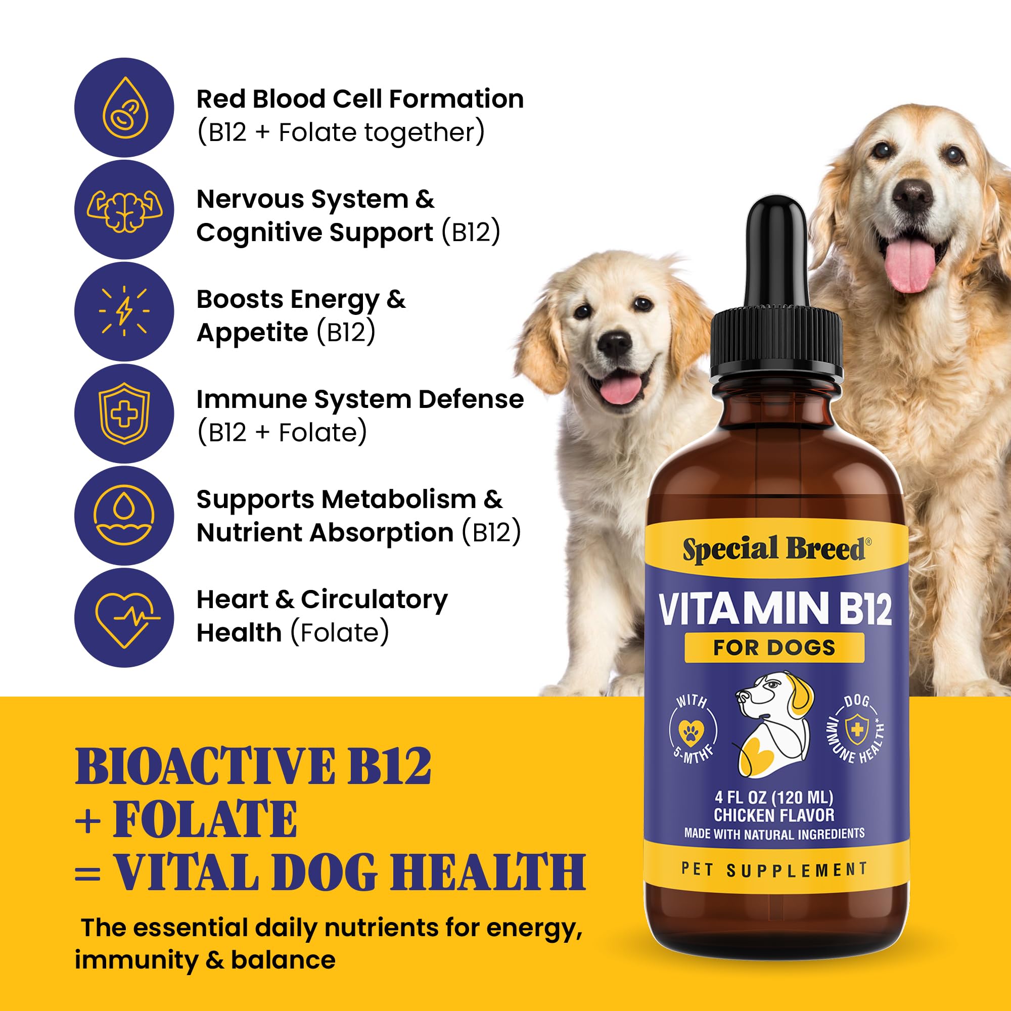 Special Breed Liquid B12 Supplement for Dogs packaging