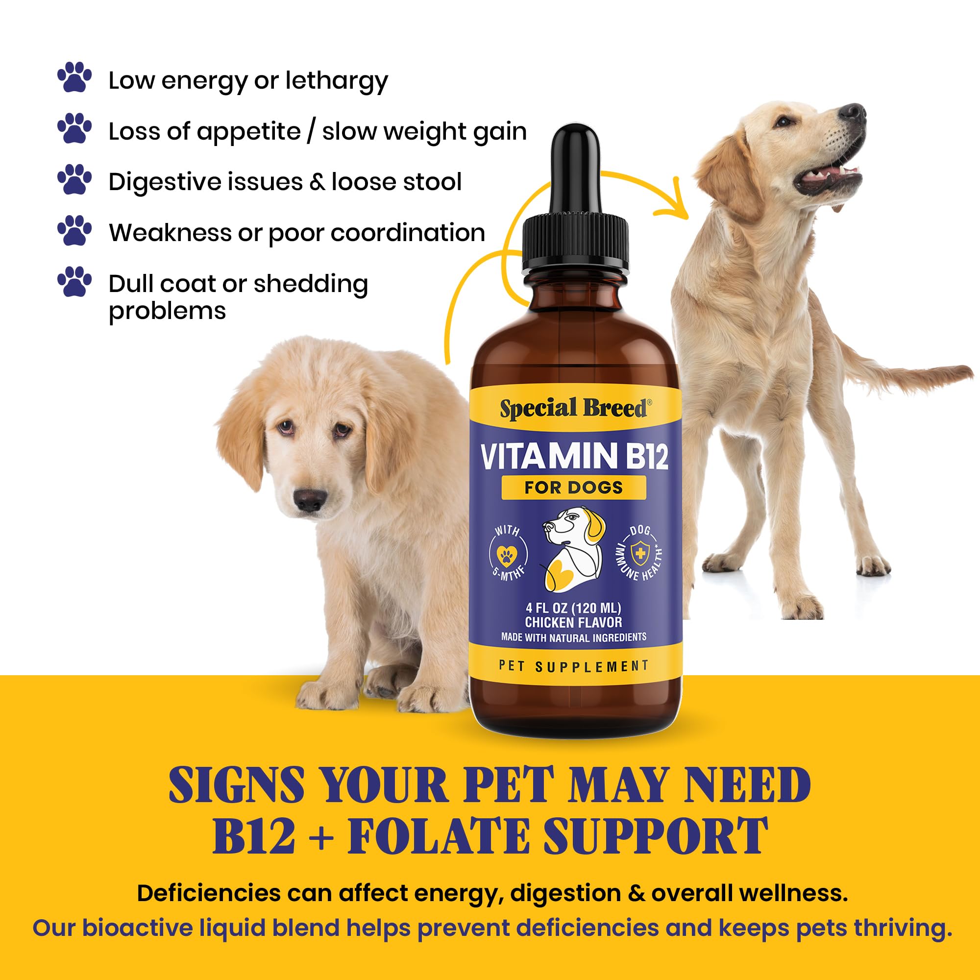 Special Breed Liquid B12 Supplement for Dogs side view