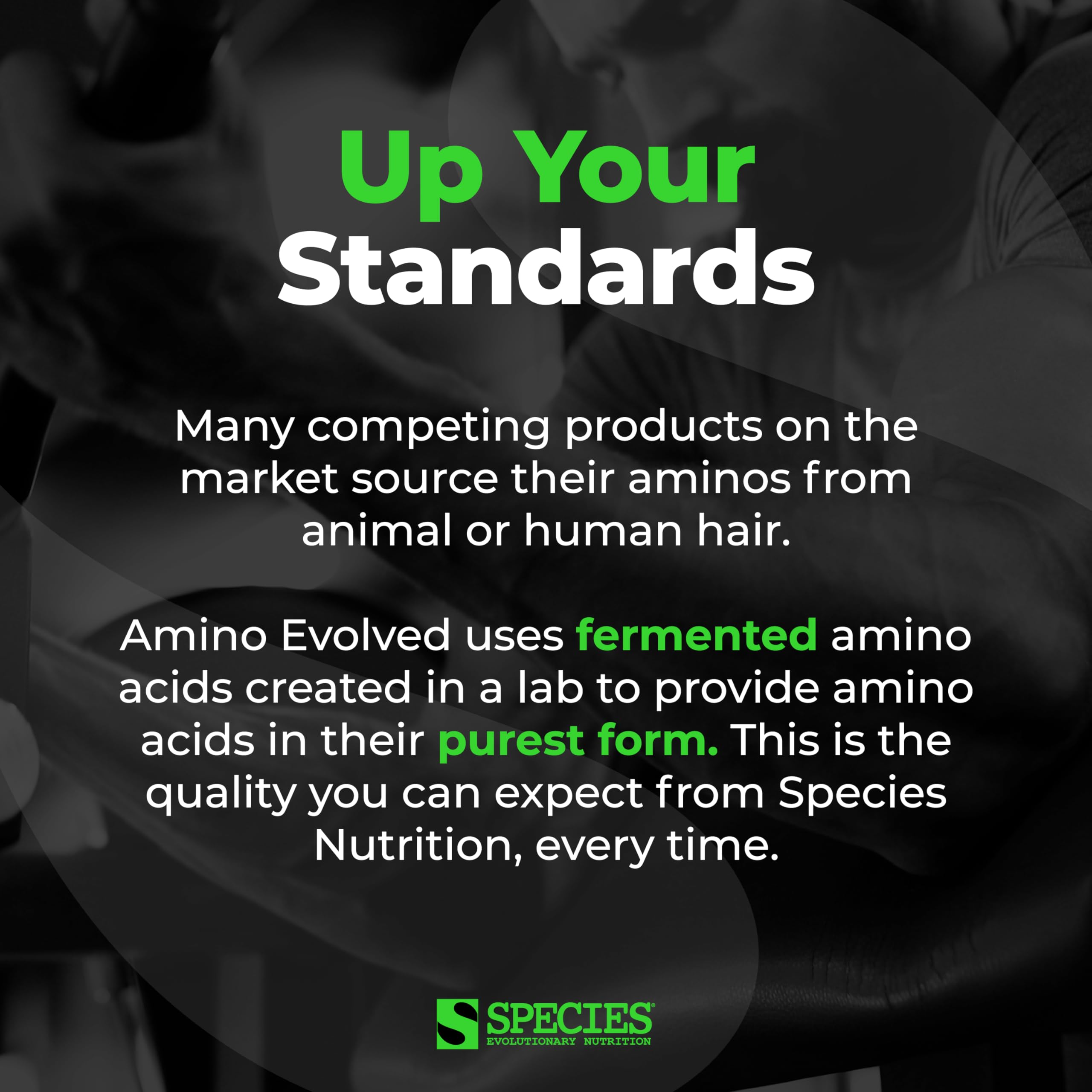 Species Nutrition Amino Evolved BCAA Supplement Lemon Iced Tea flavour