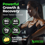 Species Nutrition Amino Evolved BCAA Supplement Strawberry Watermelon flavour