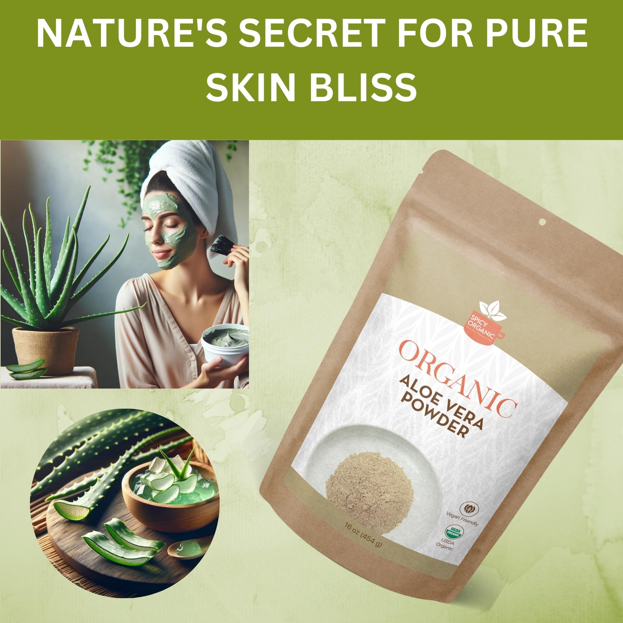 SPICY ORGANIC Aloe Vera Powder for face mask preparation
