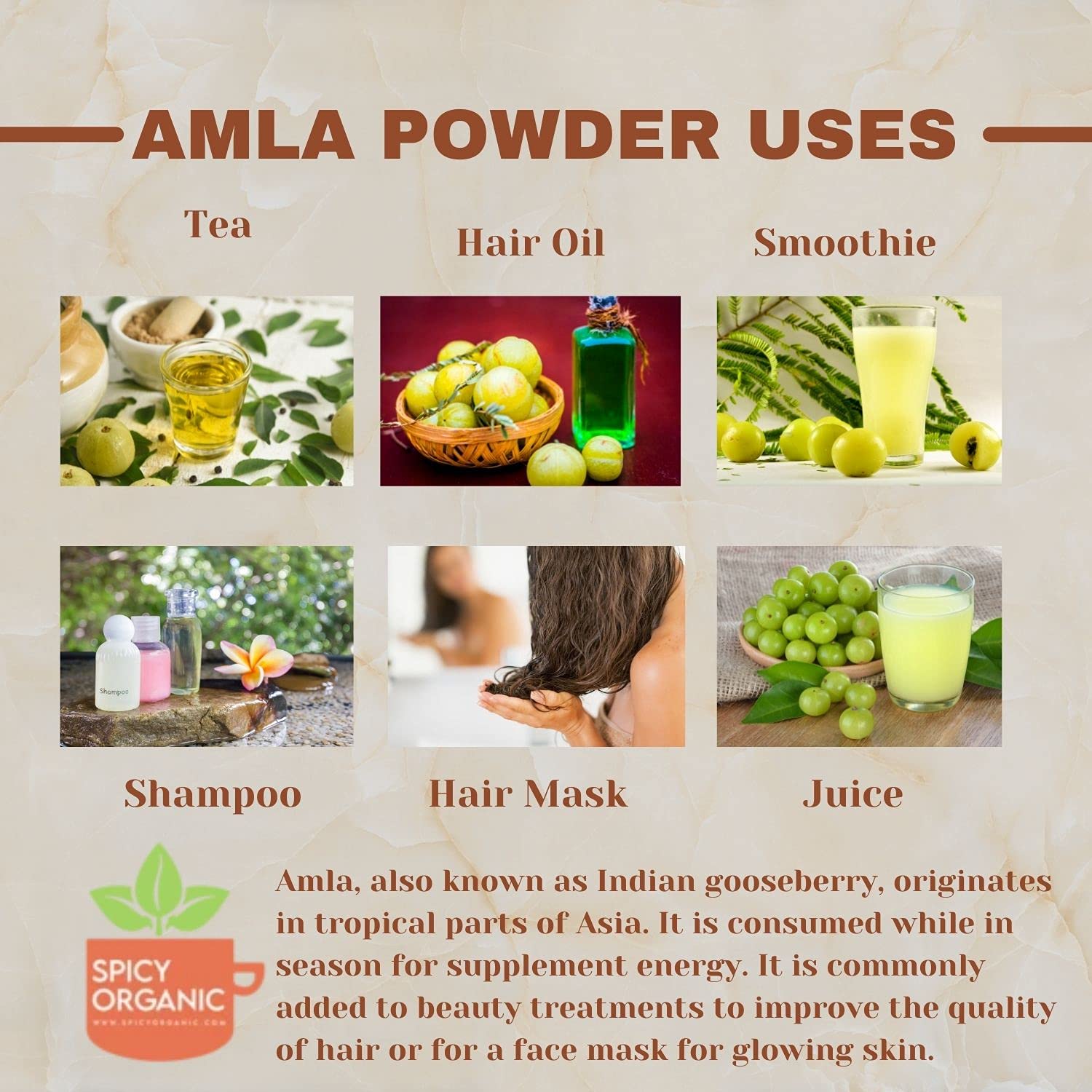 SPICY ORGANIC Amla Powder 113g in a bowl with a spoon