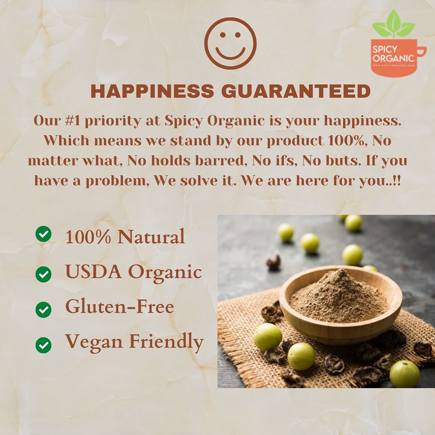 SPICY ORGANIC Amla Powder 113g resealable pouch