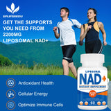 Spliferkou B3 (Niacin) Liposomal Supplement with resveratrol