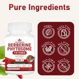Spliferkou Bernerine Phytosome Capsules displayed with fresh herbs