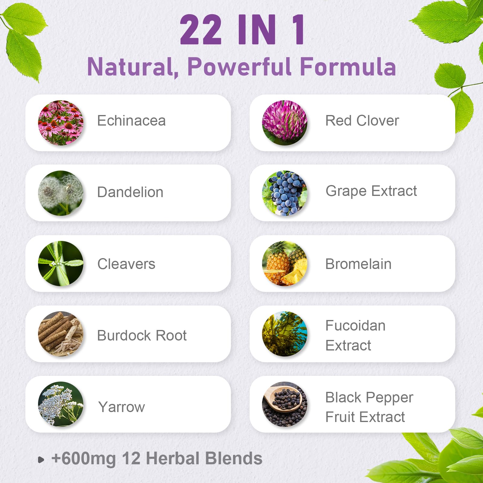 Spliferkou Echinacea Herbal Supplement ingredients list