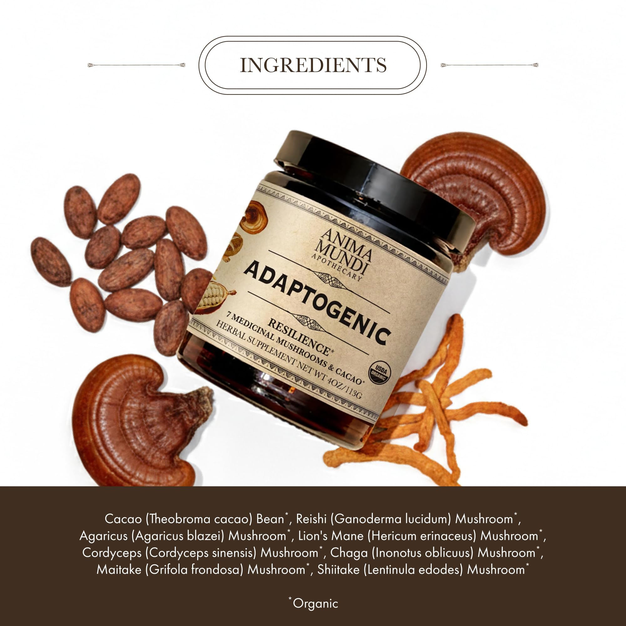 Spoonful of Anima Mundi Mushroom & Cacao Blend powder