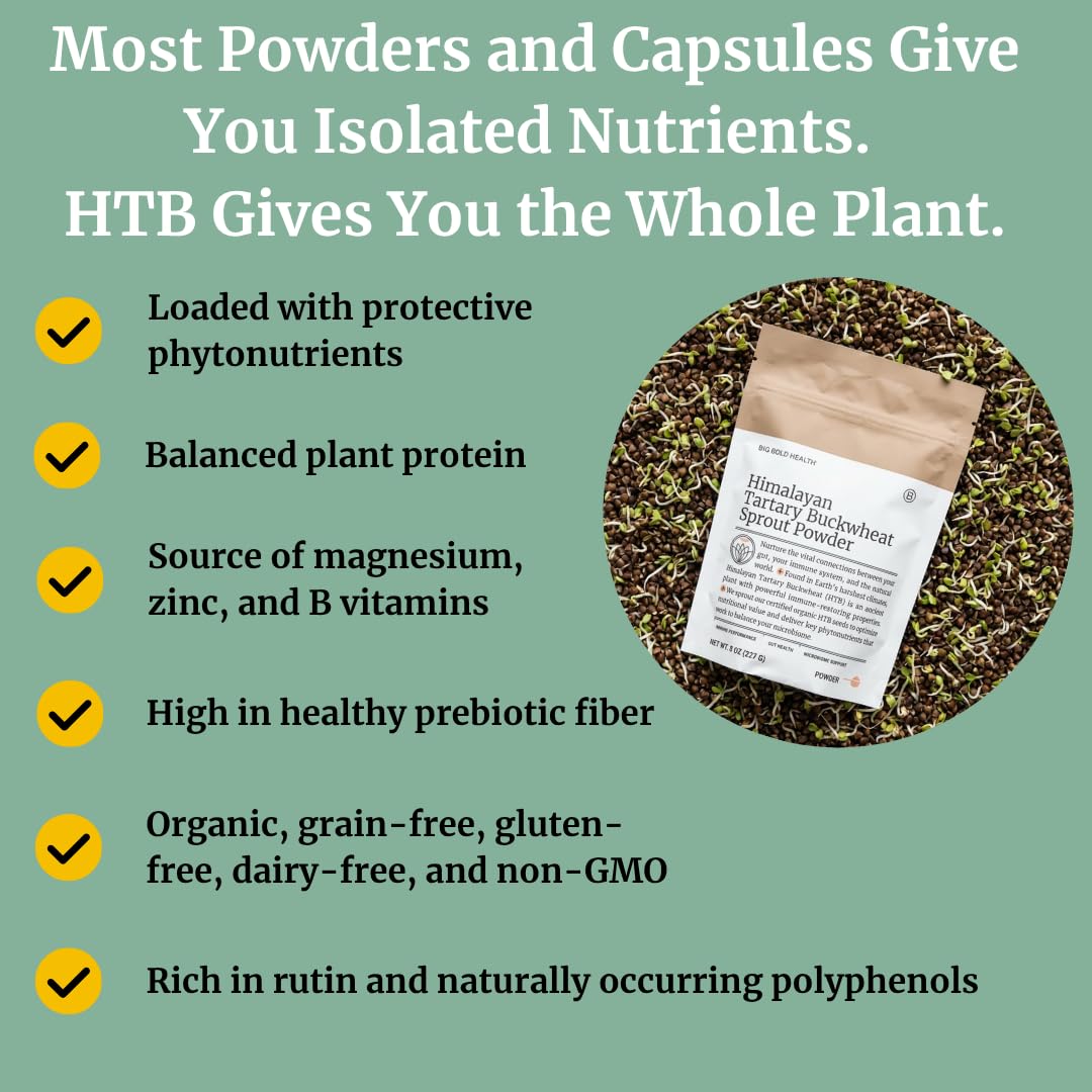 Spoonful of BIG BOLD HEALTH Himalayan Tartary Buckwheat Powder on a wooden table