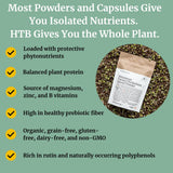 Spoonful of BIG BOLD HEALTH Himalayan Tartary Buckwheat Powder on a wooden table