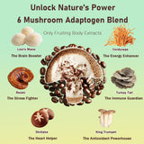 Spoonful of Daitea Mushroom Coffee Blend powder