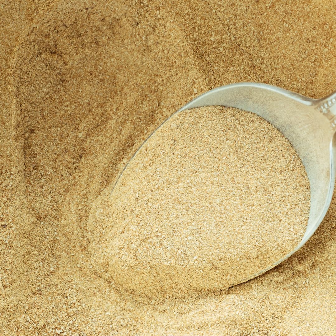 Spoonful of Earthborn Elements Brewer’s Yeast Powder on a table