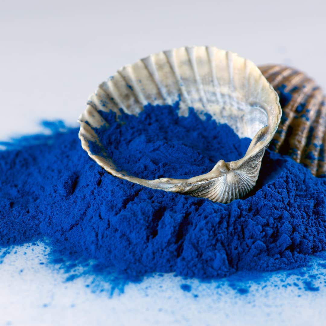 Spoonful of Ellie's Best Blue Spirulina Powder on a wooden surface