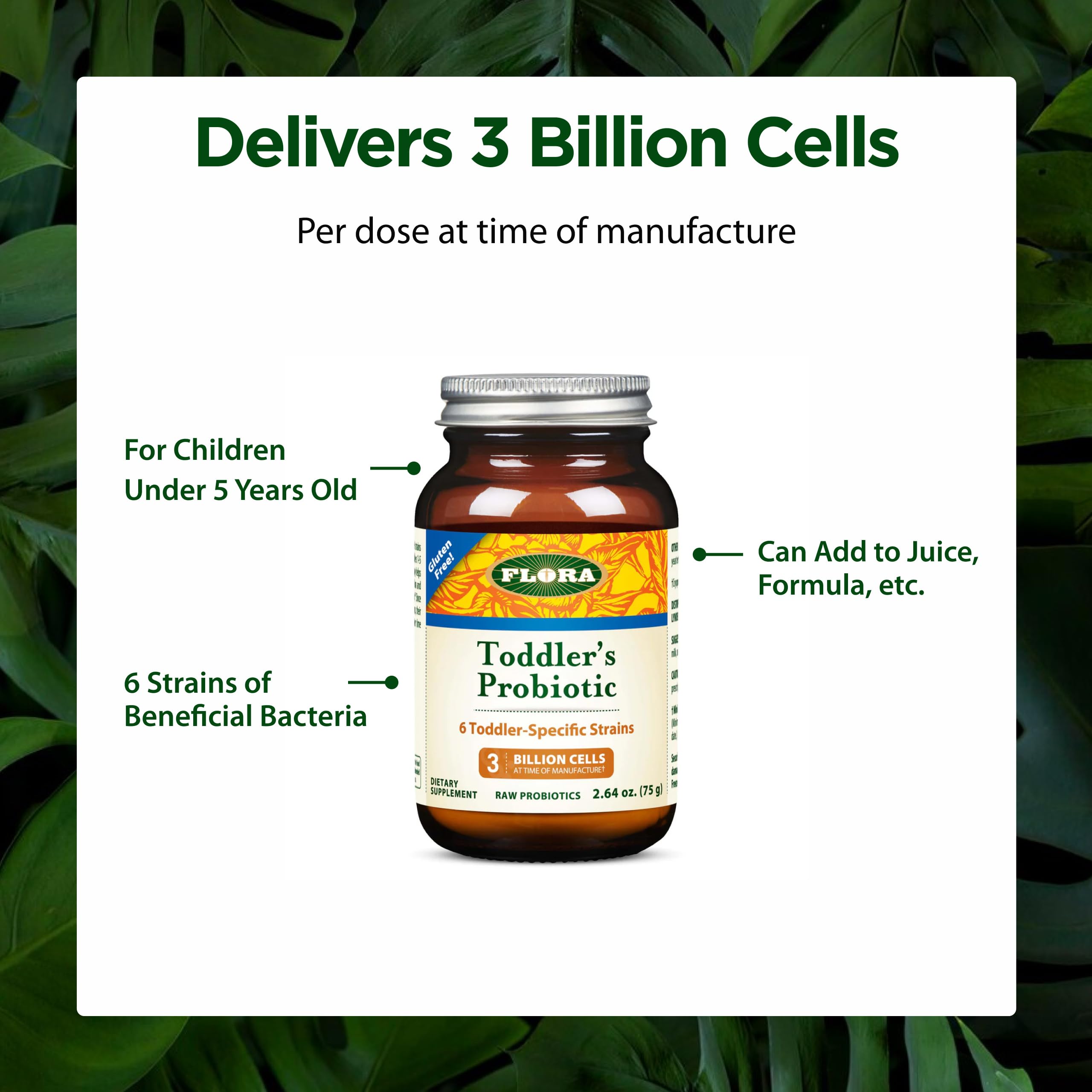 Spoonful of Flora Kid's Probiotic Powder on a kitchen counter