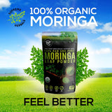 Spoonful of HERBALS Moringa Oleifera Powder