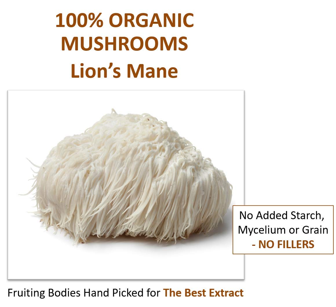 Spoonful of Jetsu Lion's Mane Mushroom Extract Powder 227g on a wooden surface