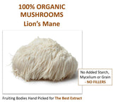 Spoonful of Jetsu Lion's Mane Mushroom Extract Powder 227g on a wooden surface