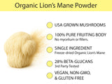 Spoonful of KOYAH Organic Lion's Mane Powder