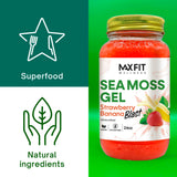 Spoonful of MAX FIT Sea Moss Gel