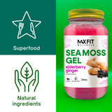 Spoonful of MAX FIT Sea Moss Gel
